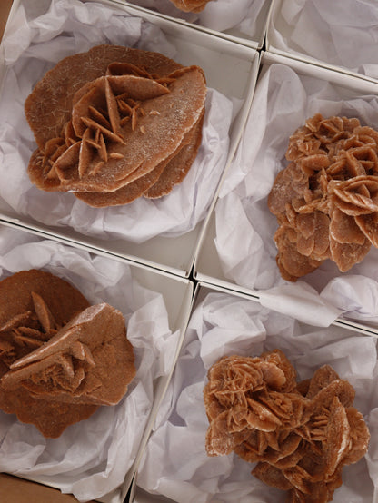 Desert Rose Rough Flat - Expert Wholesale and Supplier of Wholesale Crystals & Bulk Gemstones, []