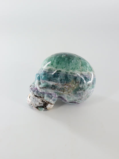 Fluorite Skull - Expert Wholesale and Supplier of Wholesale Crystals & Bulk Gemstones, []