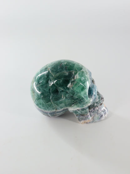 Fluorite Skull - Expert Wholesale and Supplier of Wholesale Crystals & Bulk Gemstones, []