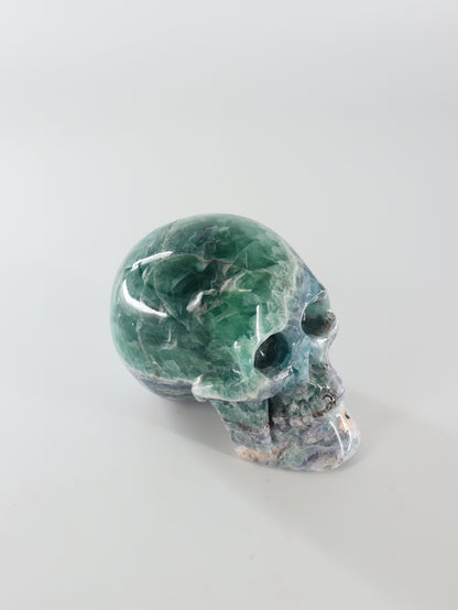 Fluorite Skull - Expert Wholesale and Supplier of Wholesale Crystals & Bulk Gemstones, []