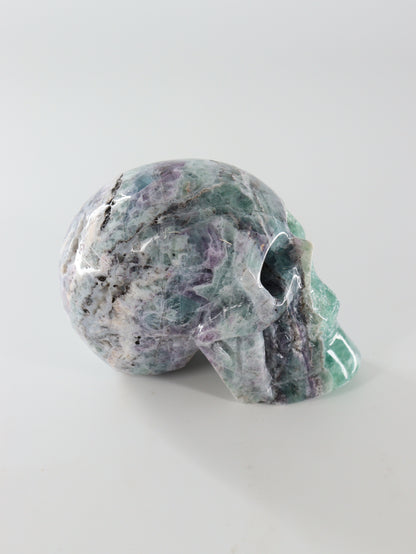 Fluorite Skull - Expert Wholesale and Supplier of Wholesale Crystals & Bulk Gemstones, []