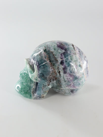 Fluorite Skull - Expert Wholesale and Supplier of Wholesale Crystals & Bulk Gemstones, []