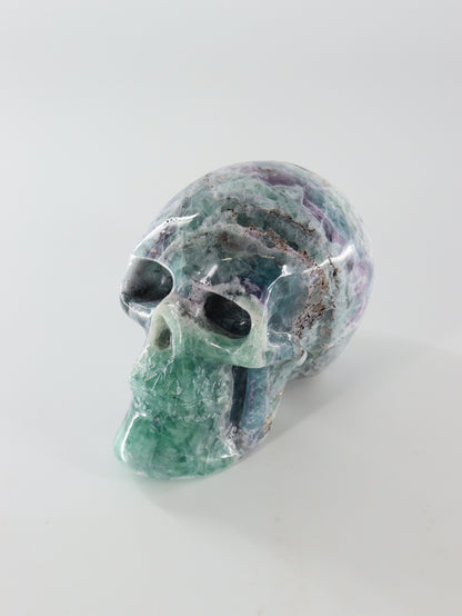 Fluorite Skull - Expert Wholesale and Supplier of Wholesale Crystals & Bulk Gemstones, []
