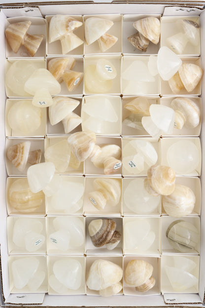 Imperfect Onyx Mushroom Flat - Expert Supplier of Wholesale Crystals & Bulk Gemstones