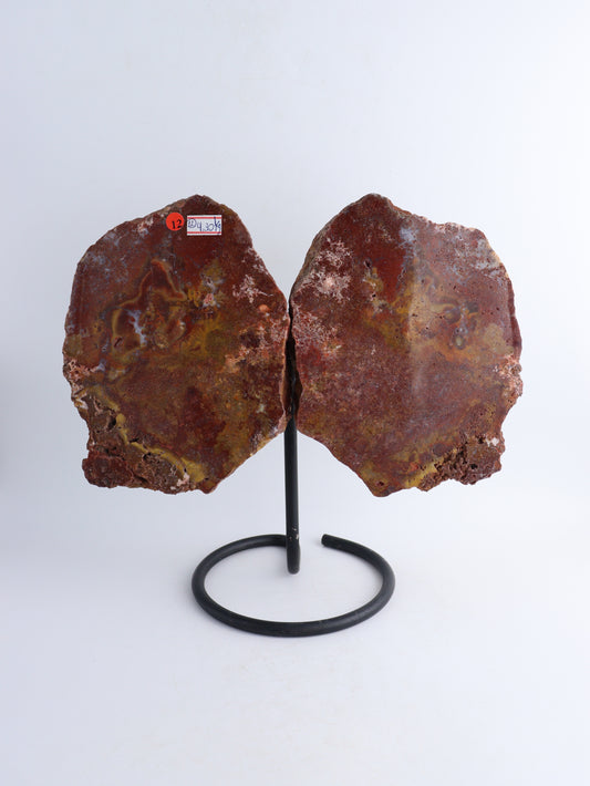 Red Jasper Wings - Mi Esperanza Minerals