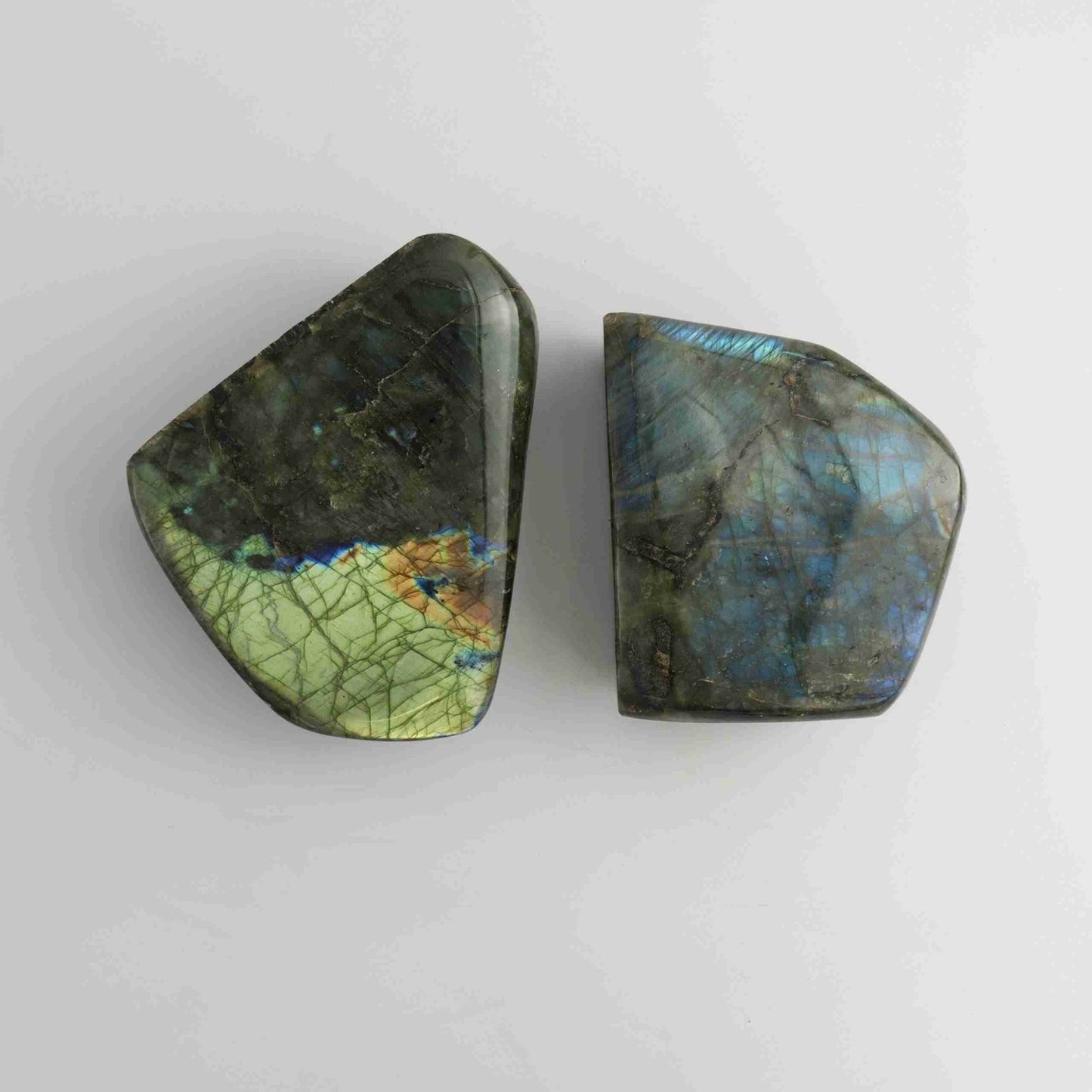 Labradorite Freeforms - Expert Vendor of Wholesale Crystals