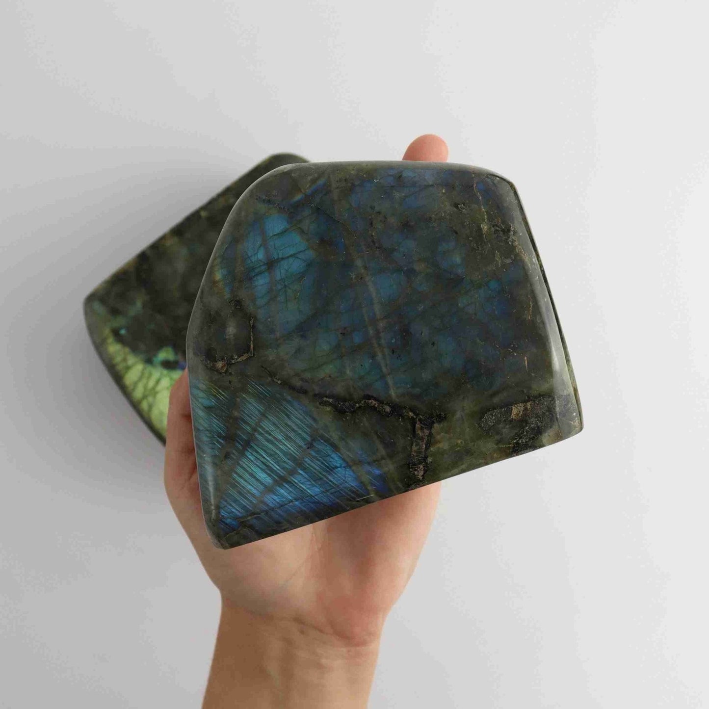 Labradorite Freeforms - Expert Vendor of Wholesale Crystals