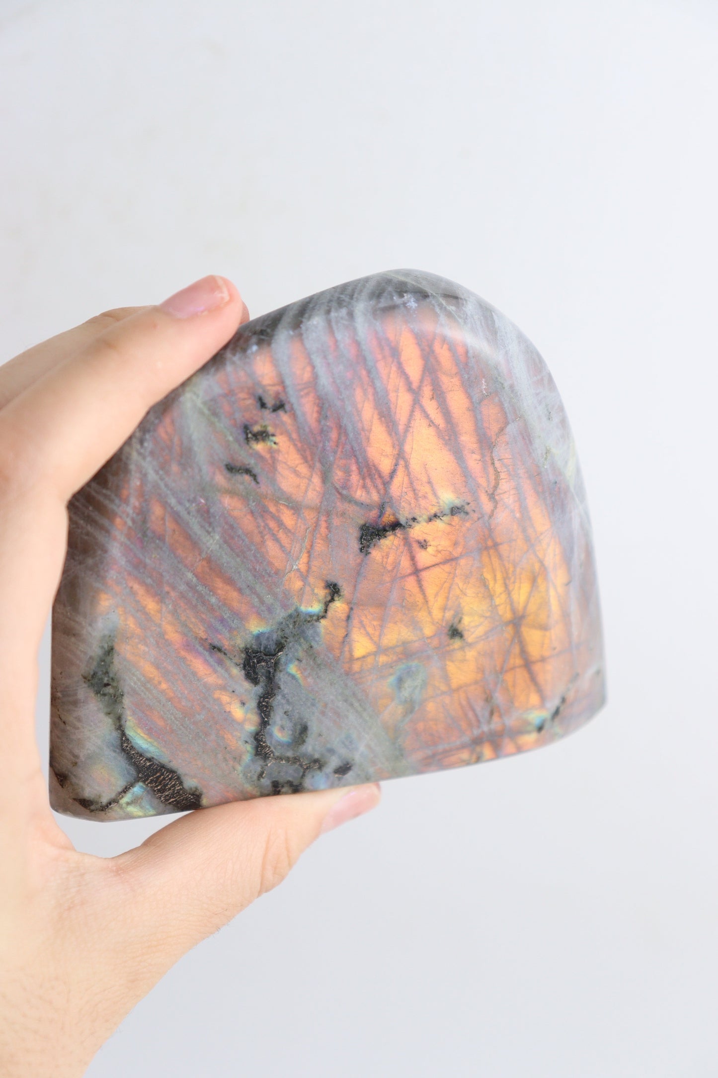 Labradorite Freeforms - Expert Supplier of Wholesale Crystals & Bulk Gemstones