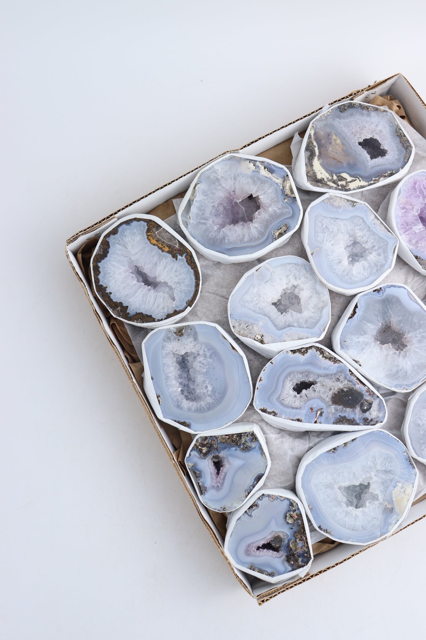 Las Choyas Geodes - Expert Wholesale and Supplier of Wholesale Crystals & Bulk Gemstones, ["Flats","Geodes","las choyas","Mexico"]