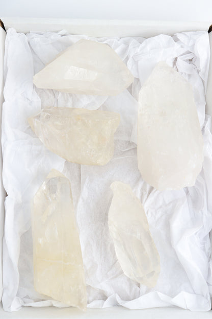 Lemurian Set of 5