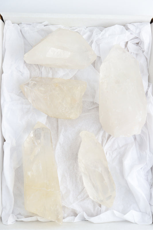 Lemurian Set of 5