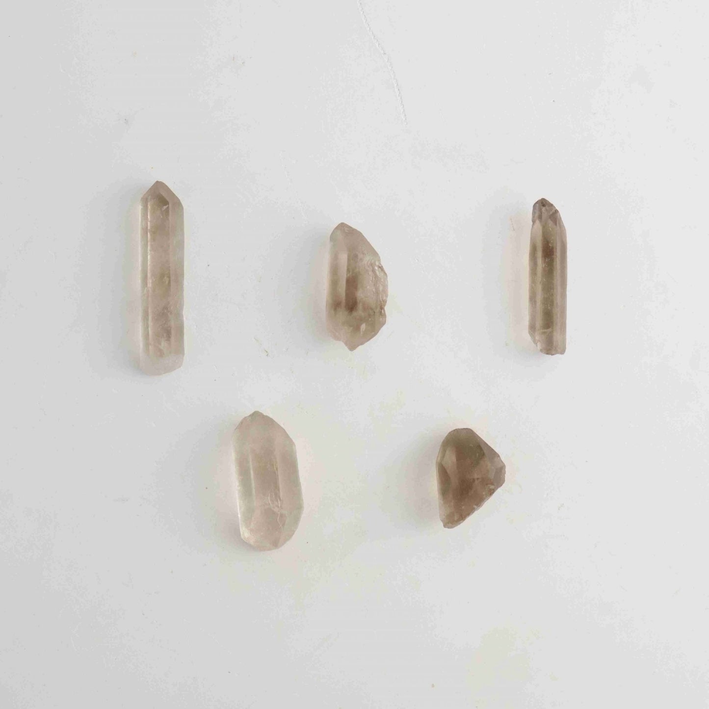 Light Smoky Quartz 5 Pieces - Expert Vendor of Wholesale Crystals