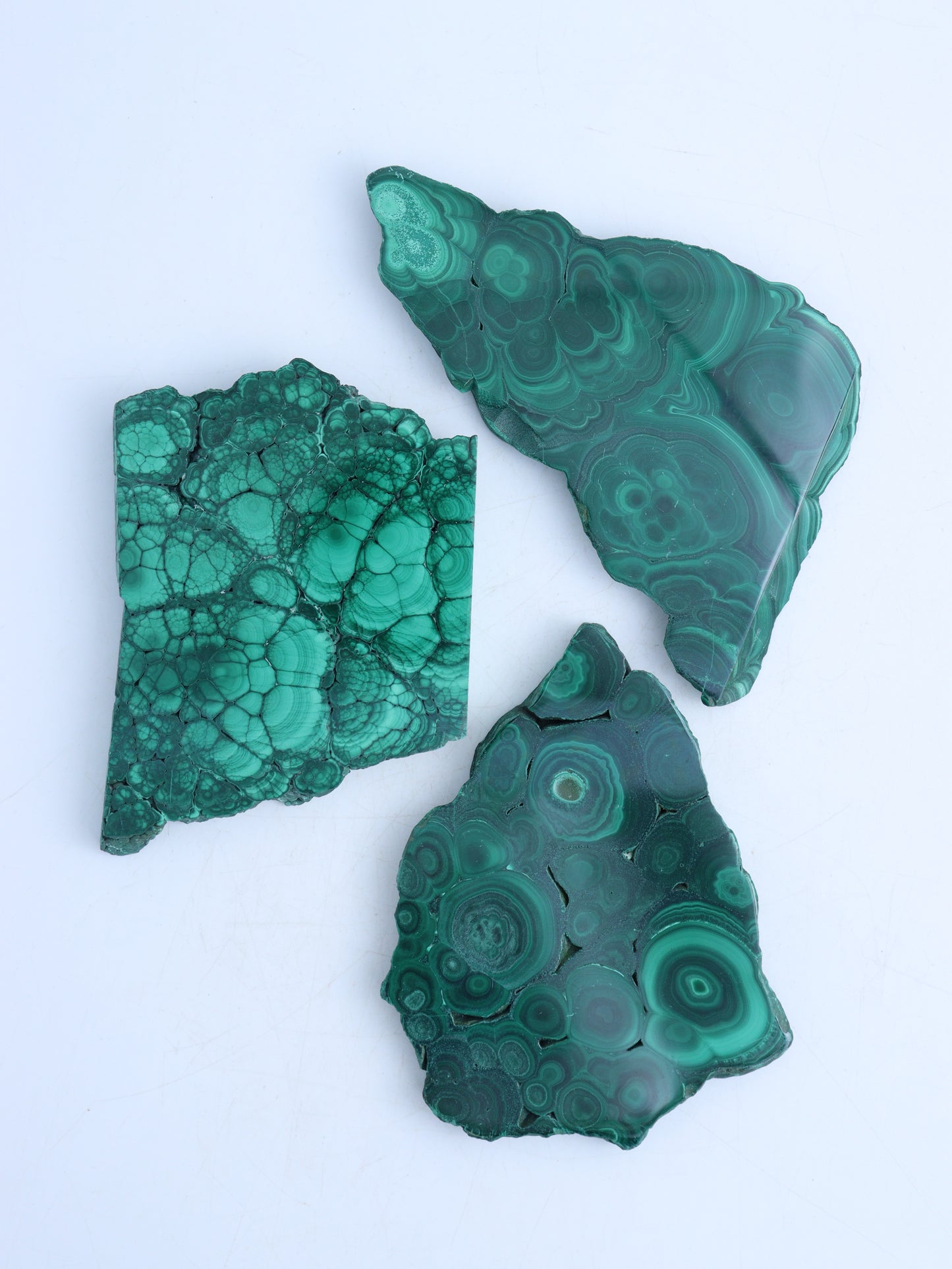 Malachite Slices - Expert Supplier of Wholesale Crystals & Bulk Gemstones