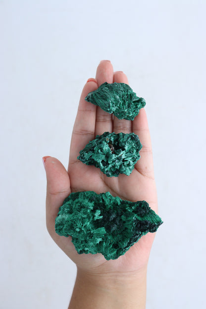 Malachite Flat