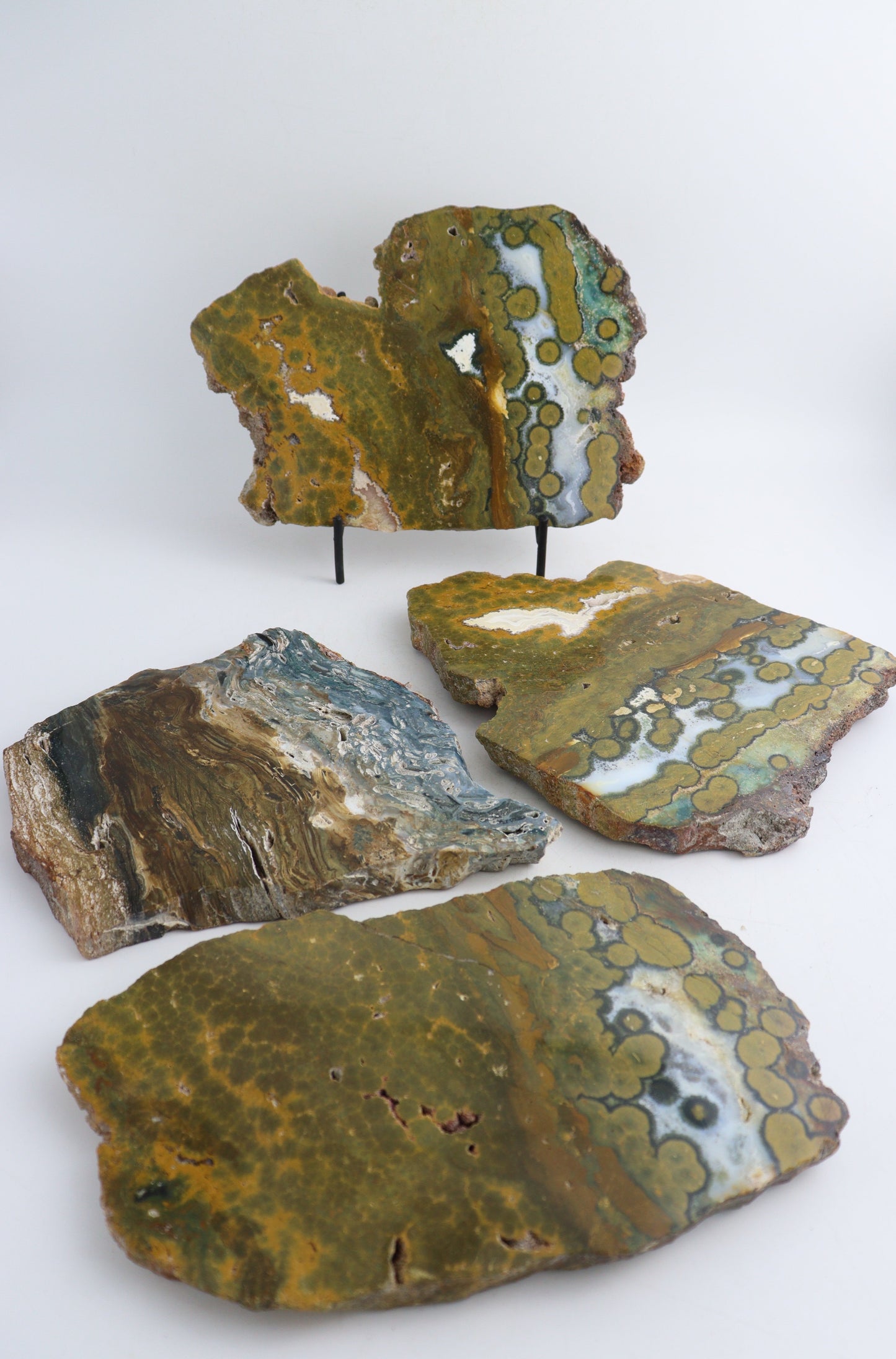Ocean Jasper Slices - Expert Wholesale and Supplier of Wholesale Crystals & Bulk Gemstones, ["Madagascar","Ocean Jasper","Slices and Slabs"]