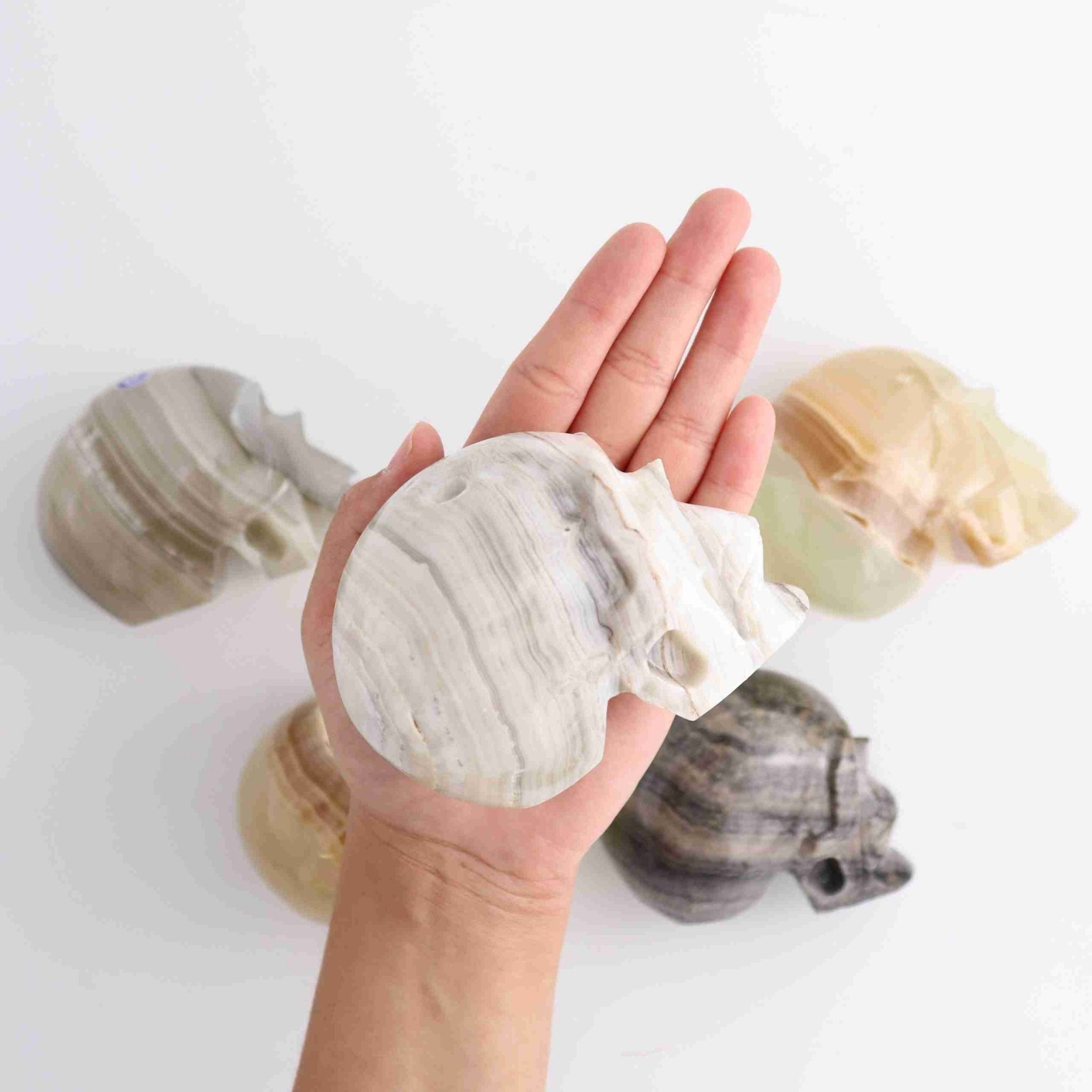 ONE Onyx Large Skull - Expert Wholesale and Supplier of Wholesale Crystals & Bulk Gemstones, ["Mexico","Mixed Carvings","Onyx"]