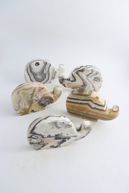 Onyx Elephants - Expert Wholesale and Supplier of Wholesale Crystals & Bulk Gemstones, ["Animal Carvings","Mexico","onyx"]