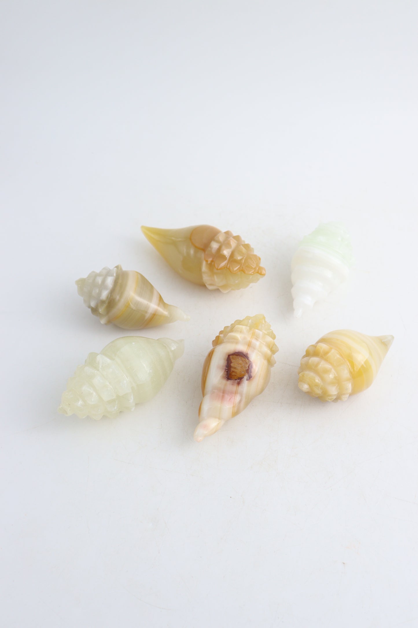Onyx Shells - Expert Wholesale and Supplier of Wholesale Crystals & Bulk Gemstones, ["Mexico","onyx","shells"]