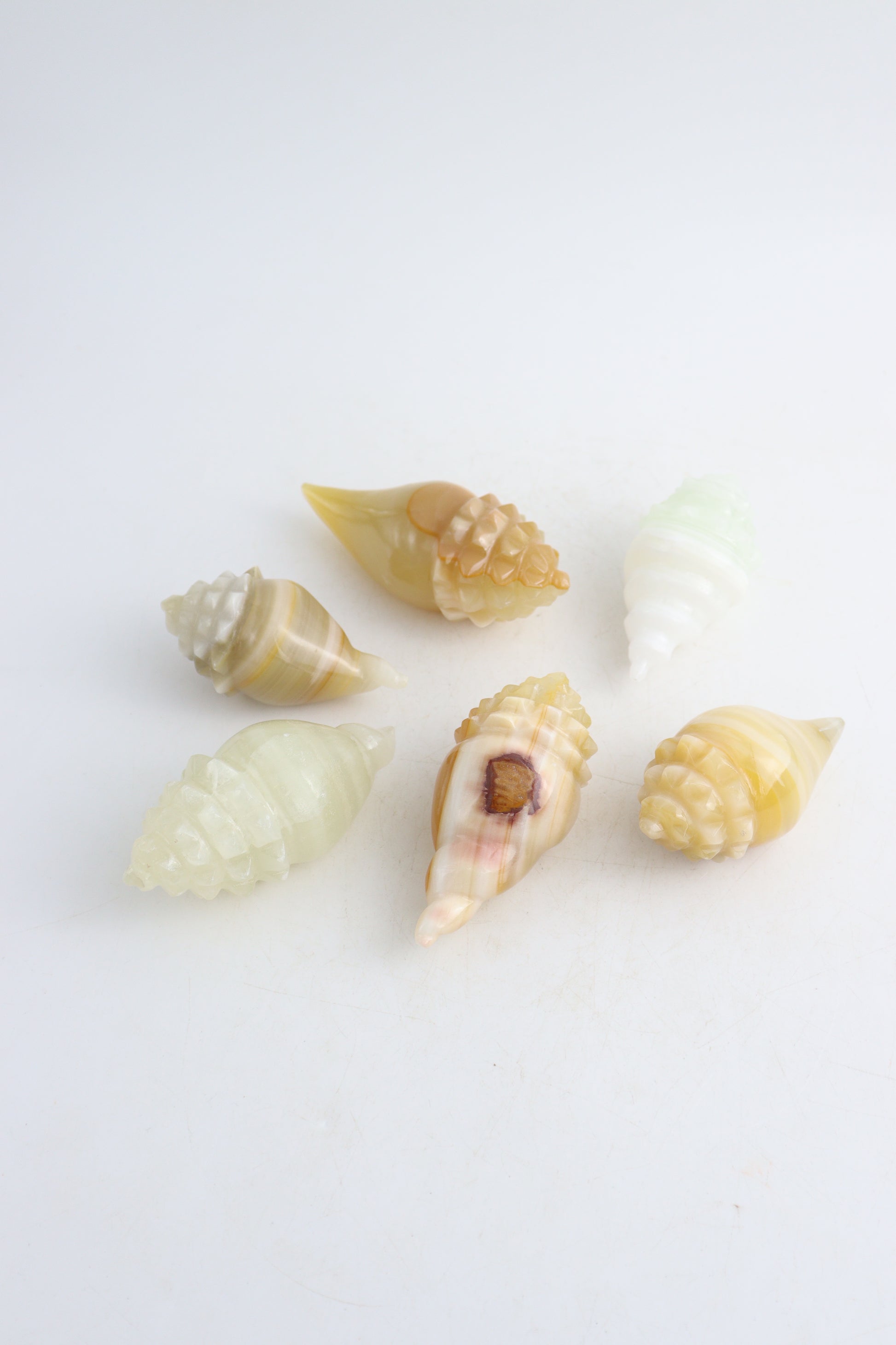 Onyx Shells - Expert Wholesale and Supplier of Wholesale Crystals & Bulk Gemstones, ["Mexico","onyx","shells"]