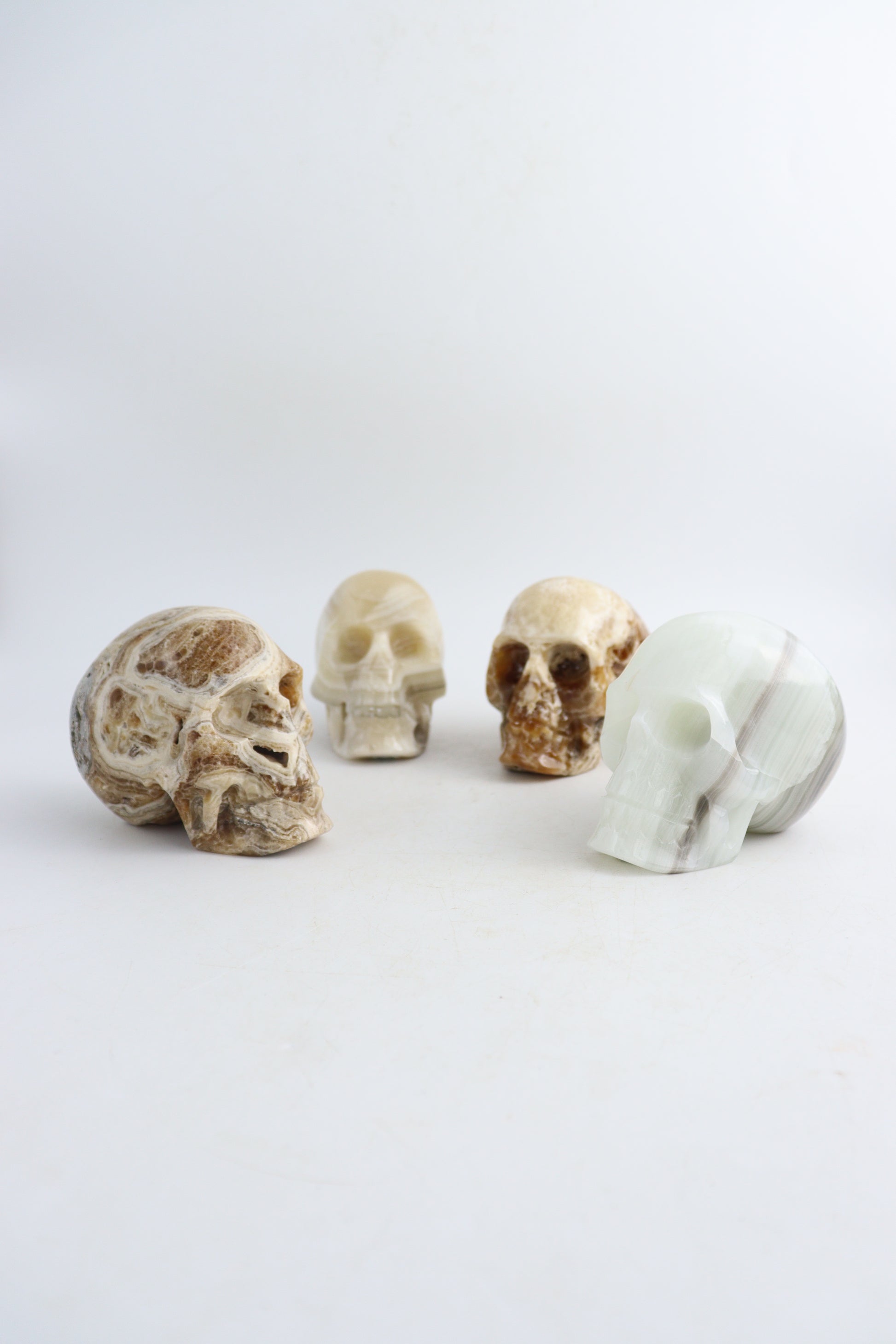Onyx Skulls - Expert Wholesale and Supplier of Wholesale Crystals & Bulk Gemstones, ["Mexico","onyx","Skills"]