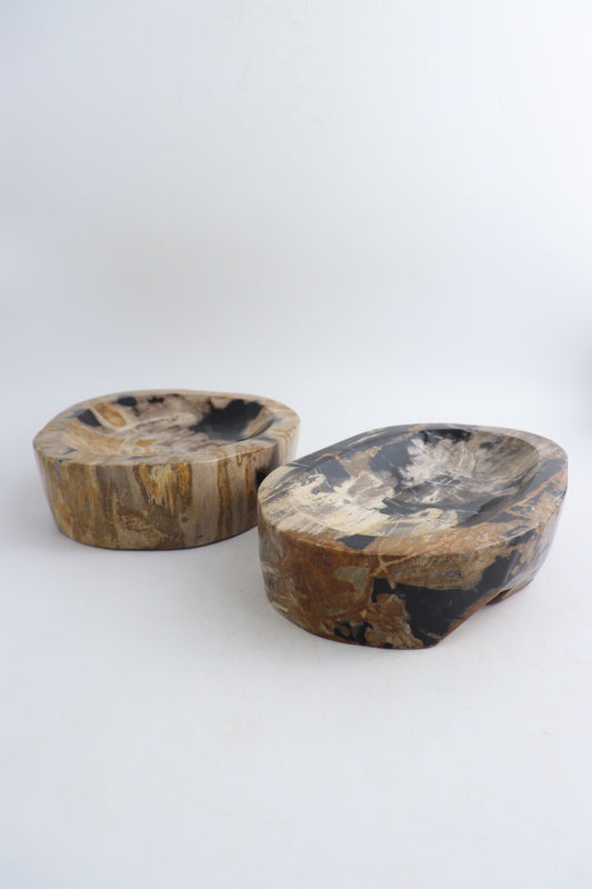 Petrified Wood Bowls