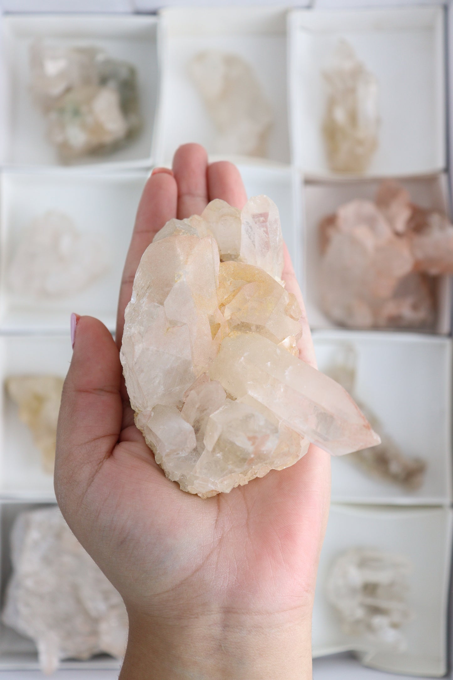 Pink Lemurian Clusters