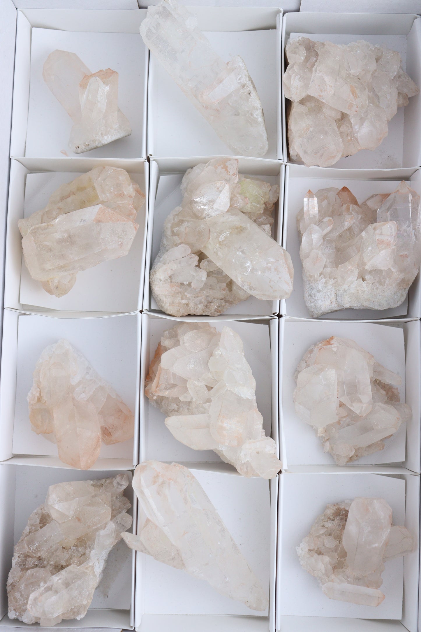 Pink Lemurian Flats