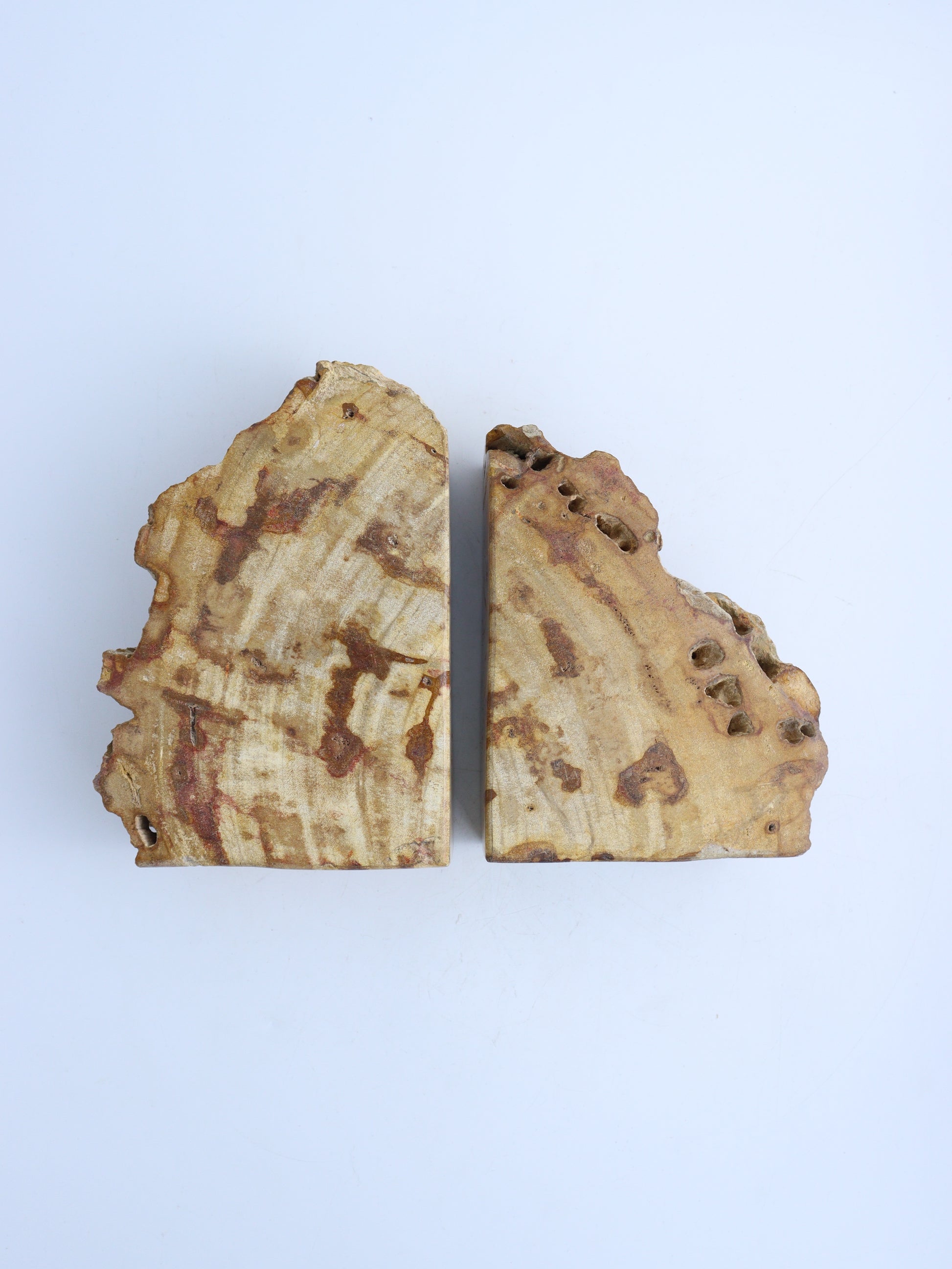 Petrified Wood Boookends - Expert Wholesale and Supplier of Wholesale Crystals & Bulk Gemstones, ["Bookends","Bowls","Indonesia","Petrified Wood"]