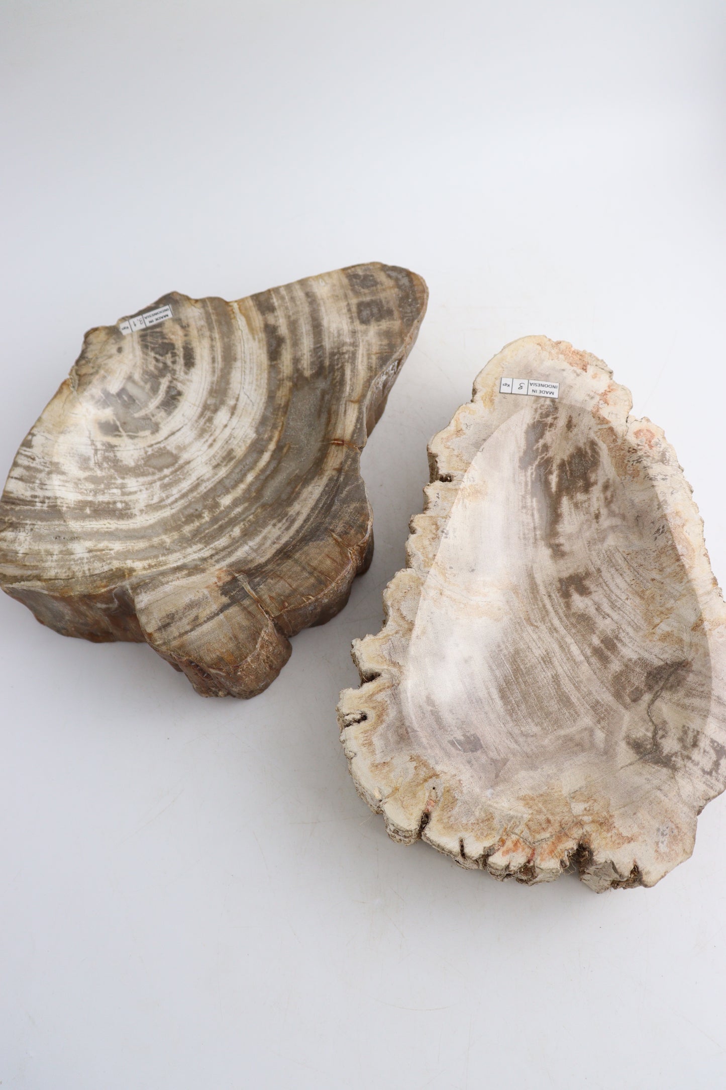 Petrified Wood Bowls - Expert Supplier of Wholesale Crystals & Bulk Gemstones