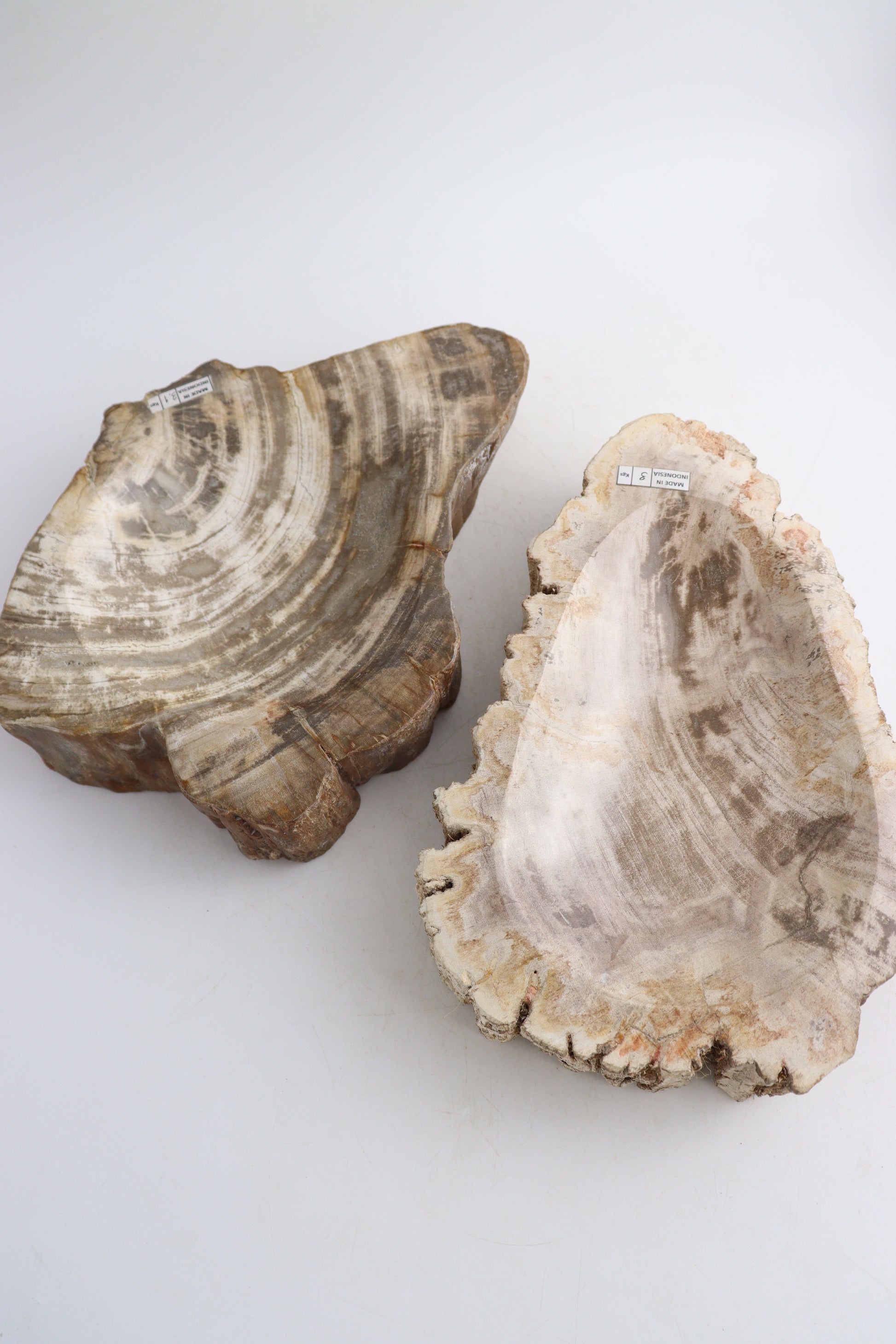 Petrified Wood Bowls - Expert Supplier of Wholesale Crystals & Bulk Gemstones