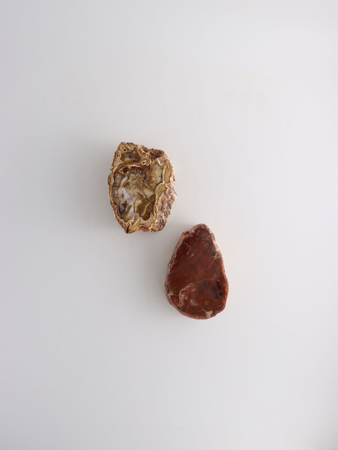 Petrified Wood Log - Expert Wholesale and Supplier of Wholesale Crystals & Bulk Gemstones, ["Freeforms","Madagascar","Mixed Carvings","Petrified Wood"]