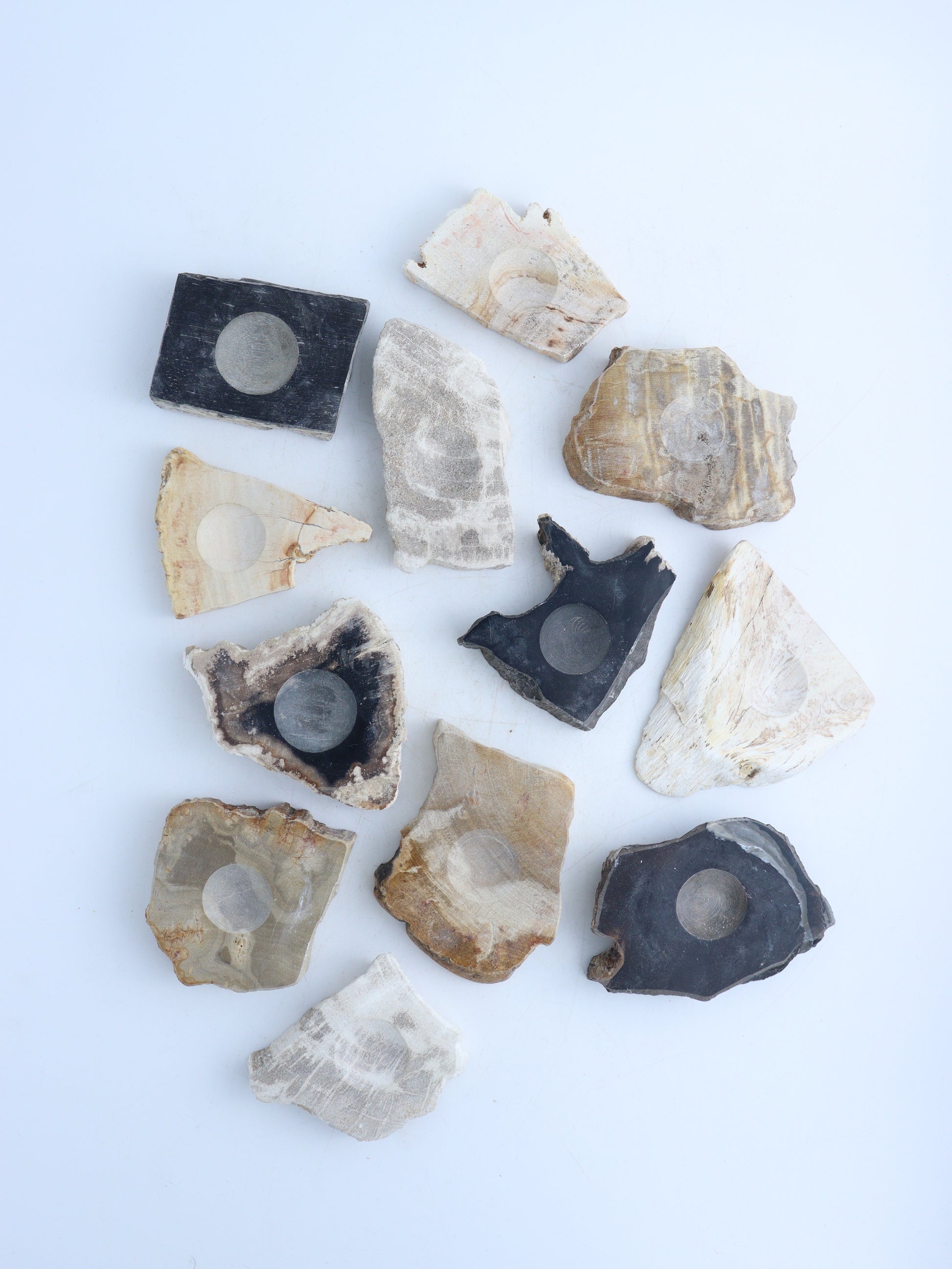 Petrified Wood Sphere Holders - Expert Wholesale and Supplier of Wholesale Crystals & Bulk Gemstones, ["Indonesia","Petrified Wood","sphere holder","Spheres"]