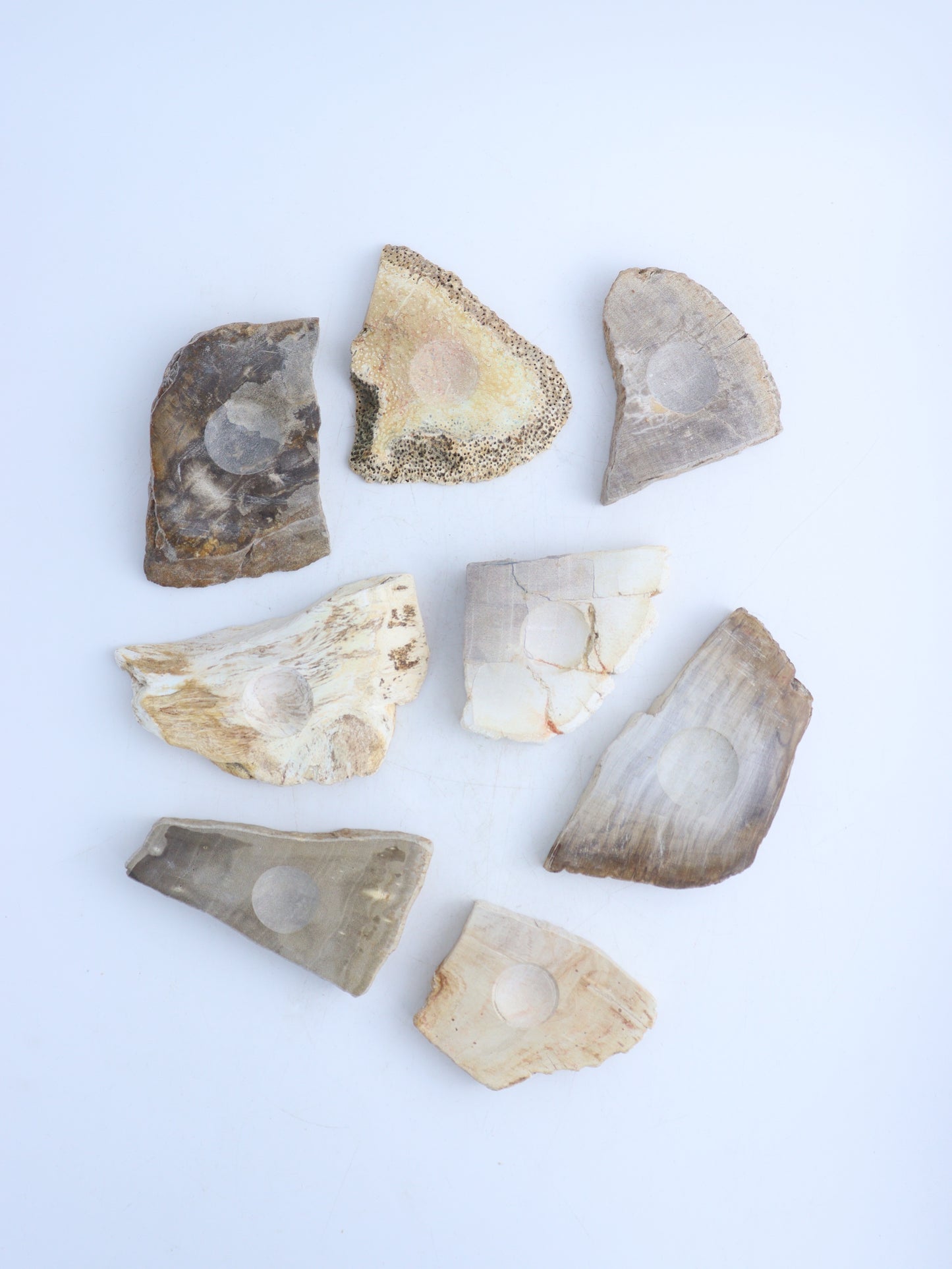 Petrified Wood Sphere Holders - Expert Wholesale and Supplier of Wholesale Crystals & Bulk Gemstones, ["Accessories","Indonesia","Petrified Wood","sphere holder","Spheres"]