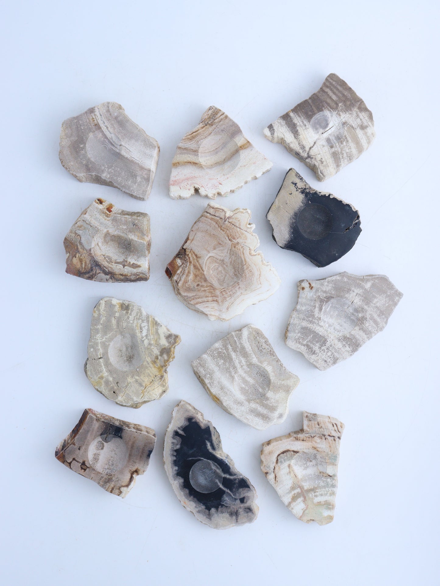 Petrified Wood Sphere Holders - Expert Wholesale and Supplier of Wholesale Crystals & Bulk Gemstones, ["Indonesia","Petrified Wood","sphere holder","Spheres"]