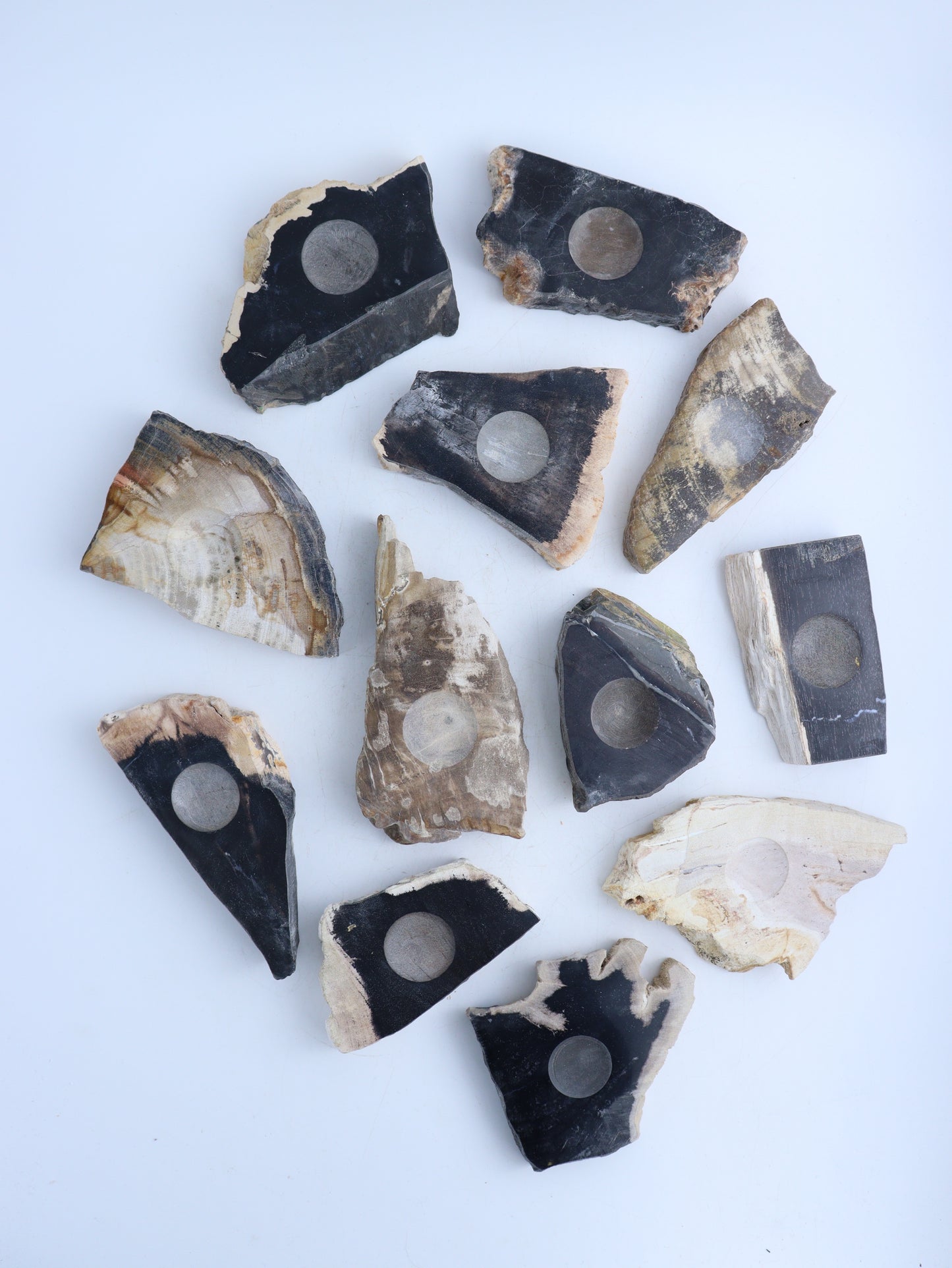 Petrified Wood Sphere Holders - Expert Wholesale and Supplier of Wholesale Crystals & Bulk Gemstones, ["Indonesia","Petrified Wood","sphere holder","Spheres"]