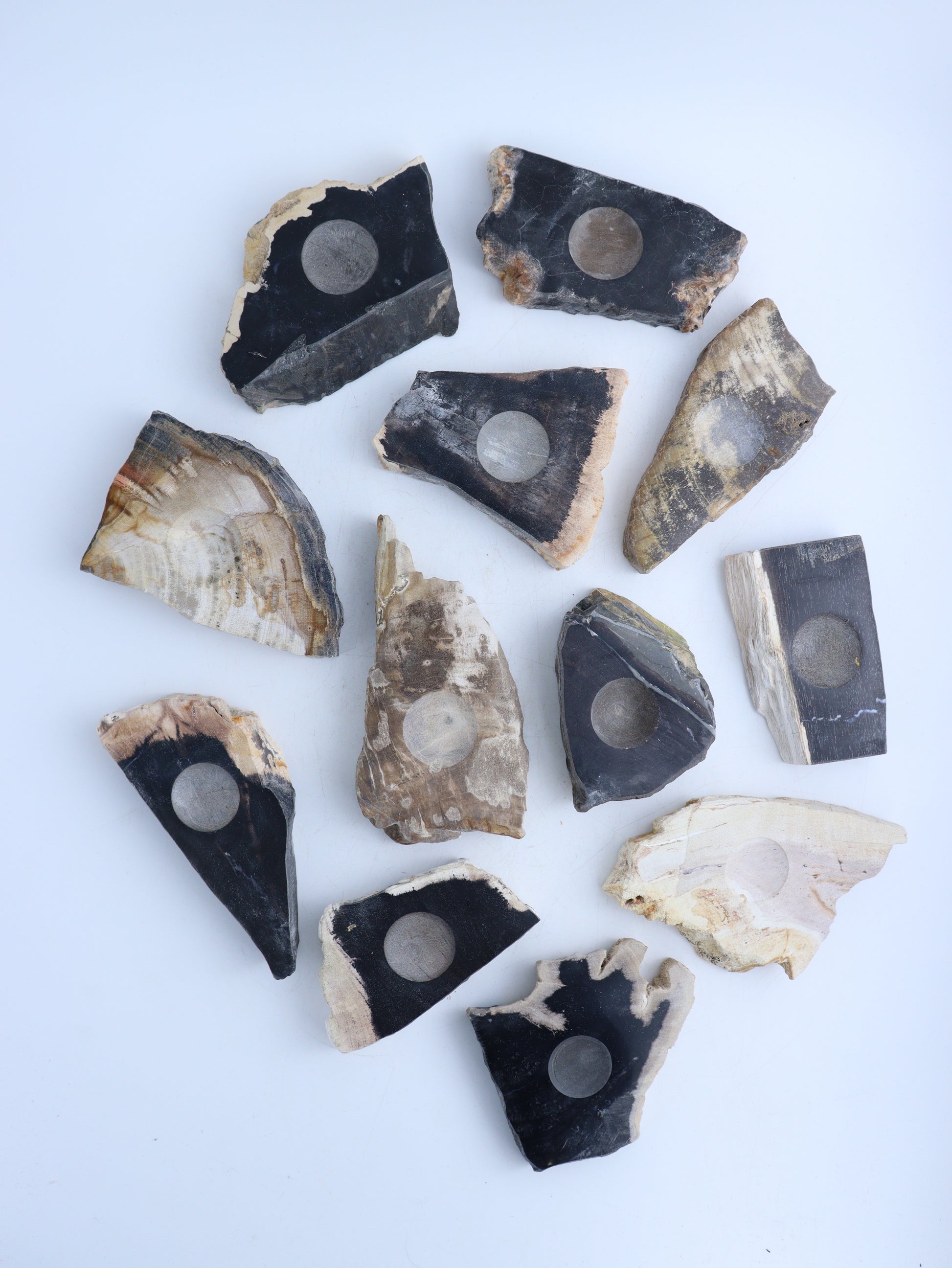 Petrified Wood Sphere Holders - Expert Wholesale and Supplier of Wholesale Crystals & Bulk Gemstones, ["Indonesia","Petrified Wood","sphere holder","Spheres"]