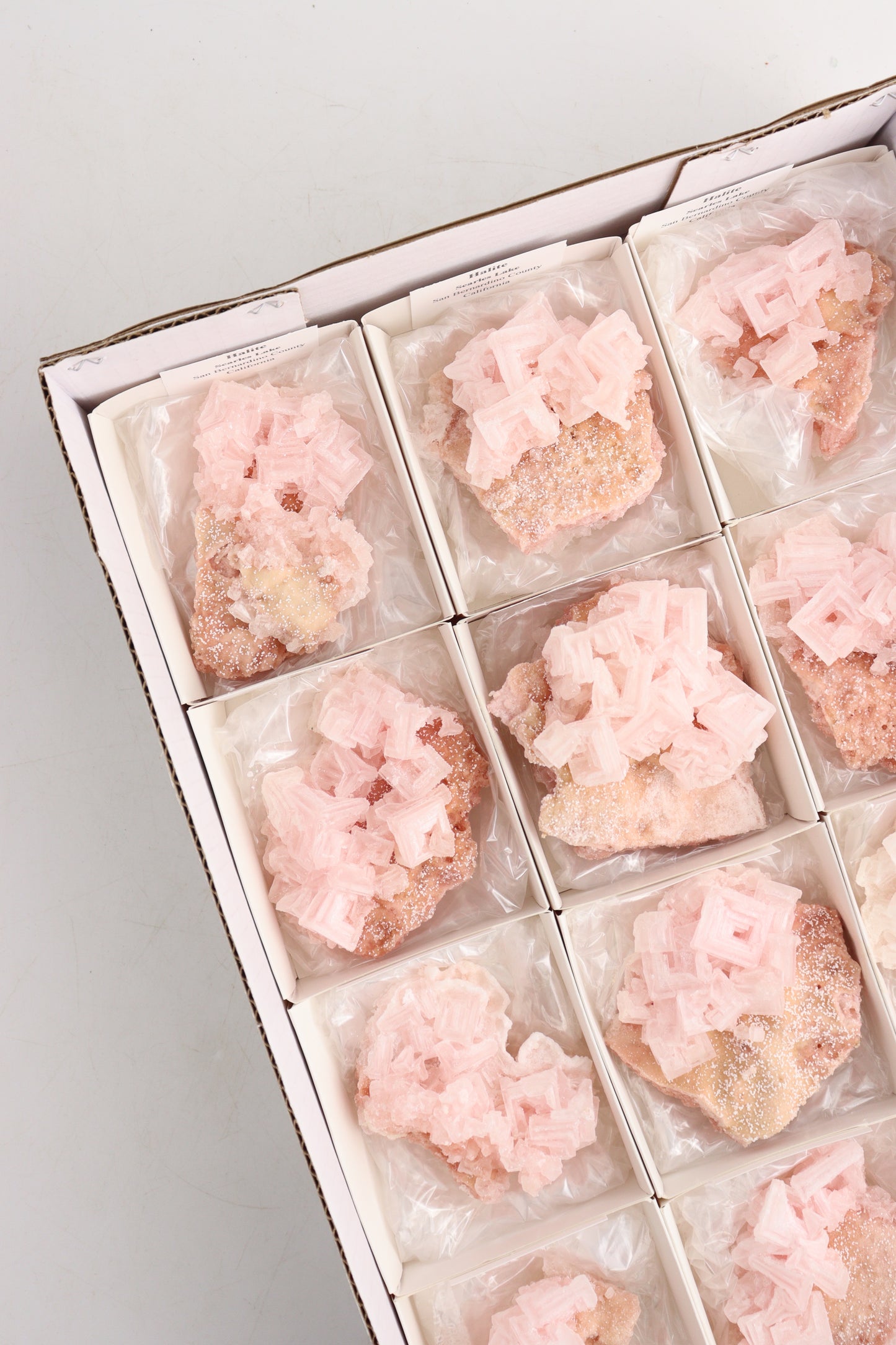 Pink Halite Cluster Flat - Expert Supplier of Wholesale Crystals & Bulk Gemstones