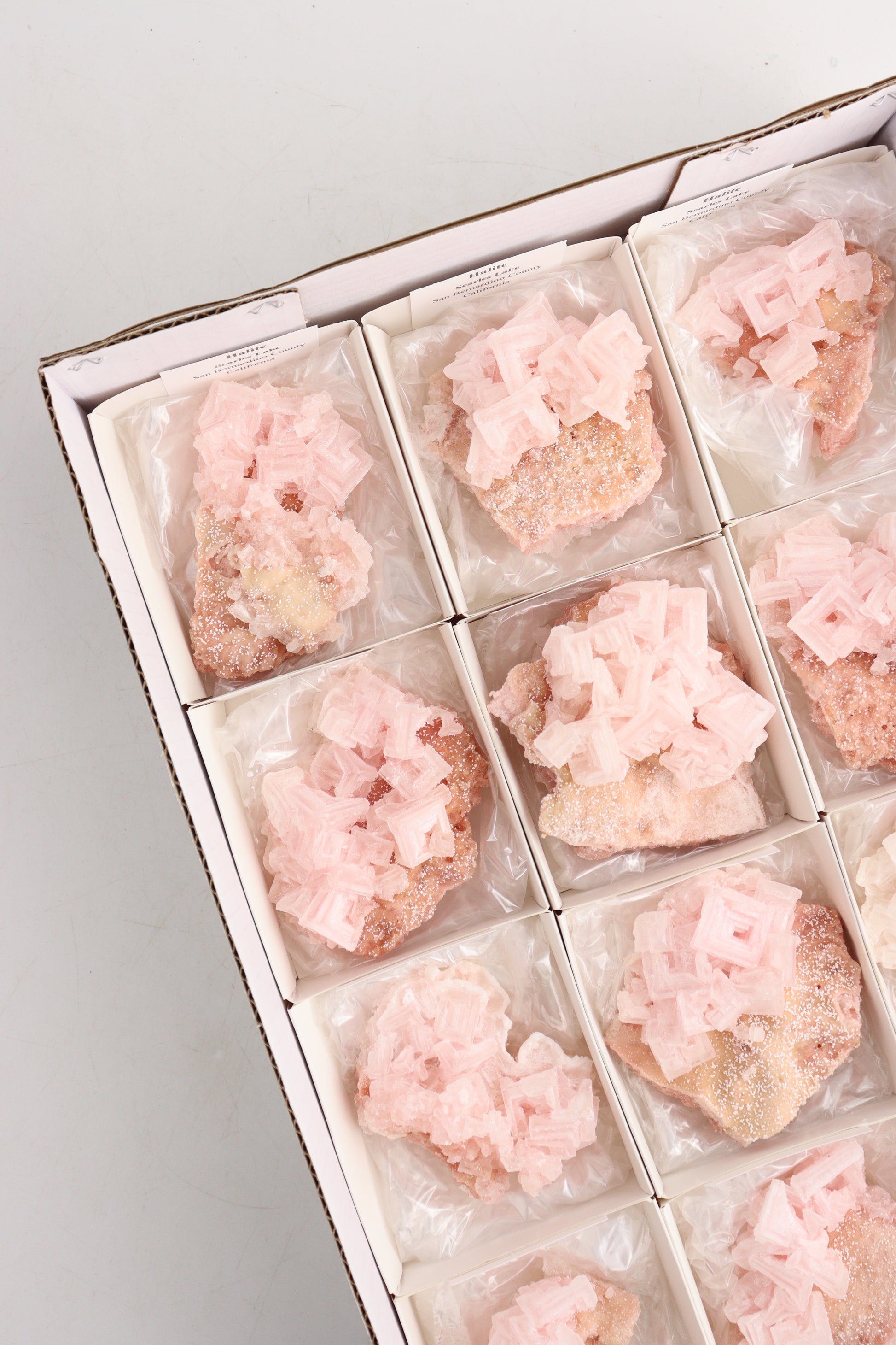 Pink Halite Cluster Flat - Expert Supplier of Wholesale Crystals & Bulk Gemstones