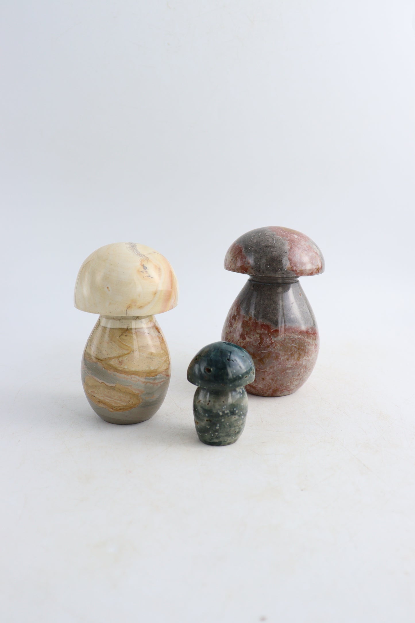 Polychrome Jasper Mushrooms