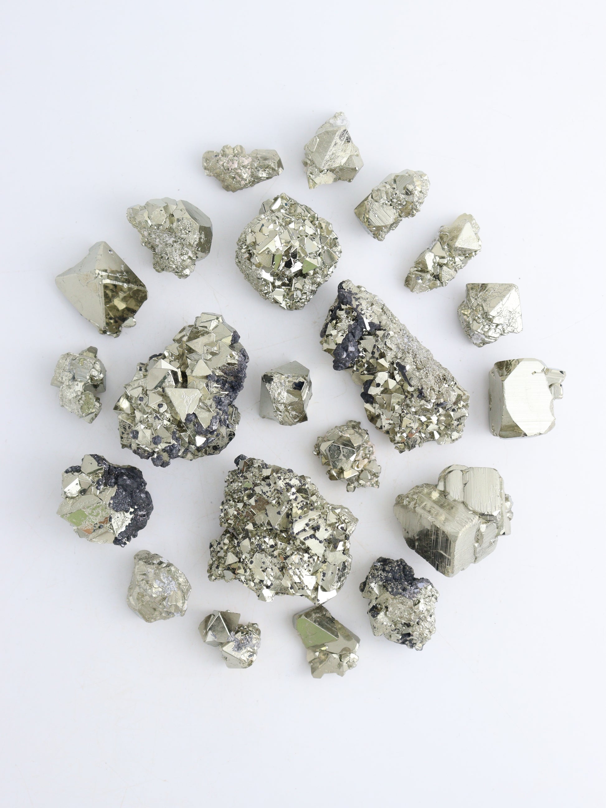 Pyrite Flat - Expert Wholesale and Supplier of Wholesale Crystals & Bulk Gemstones, ["Flats","Pyrite"]