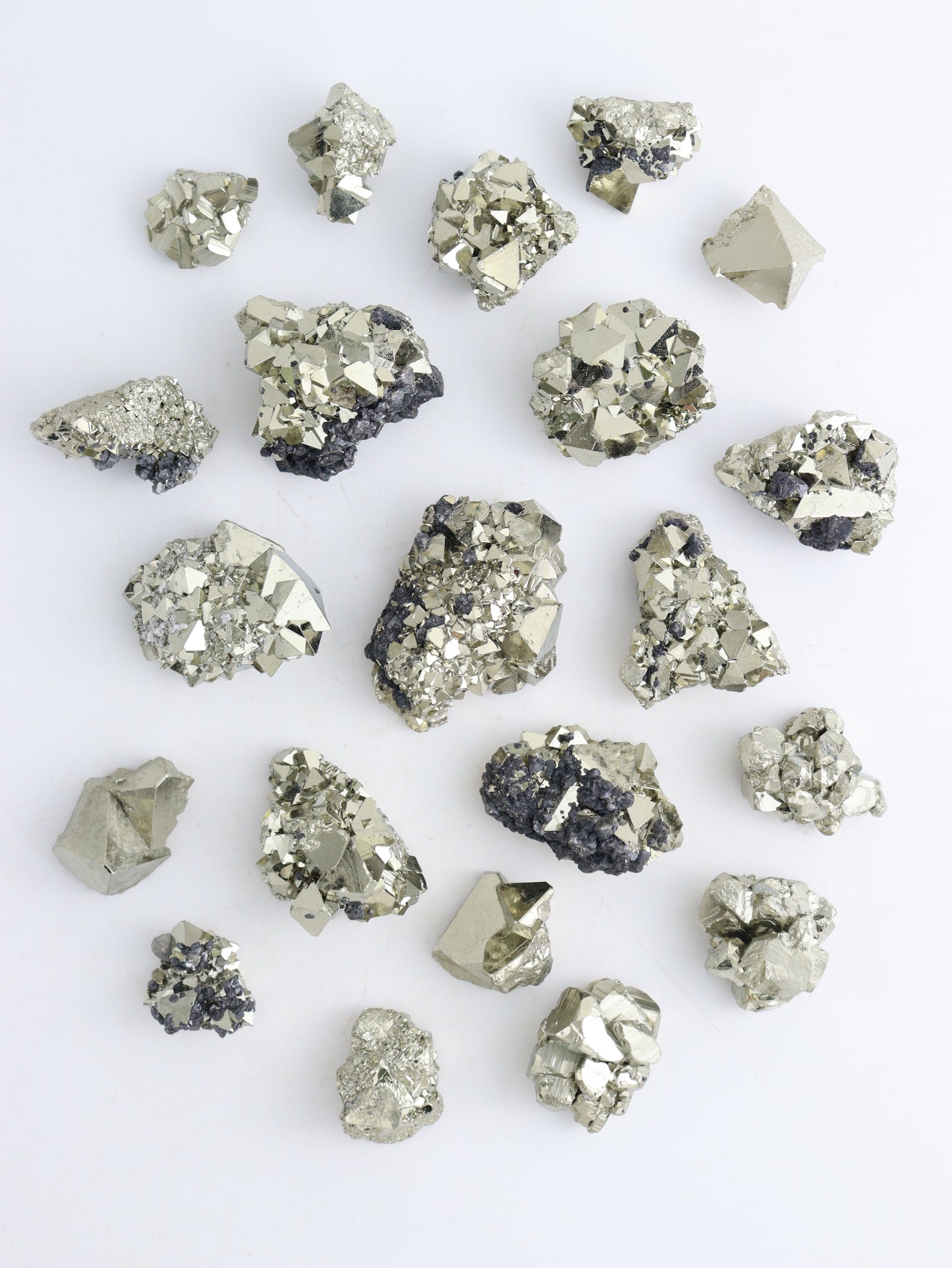 Pyrite Flat - Expert Wholesale and Supplier of Wholesale Crystals & Bulk Gemstones, ["Flats","Pyrite"]