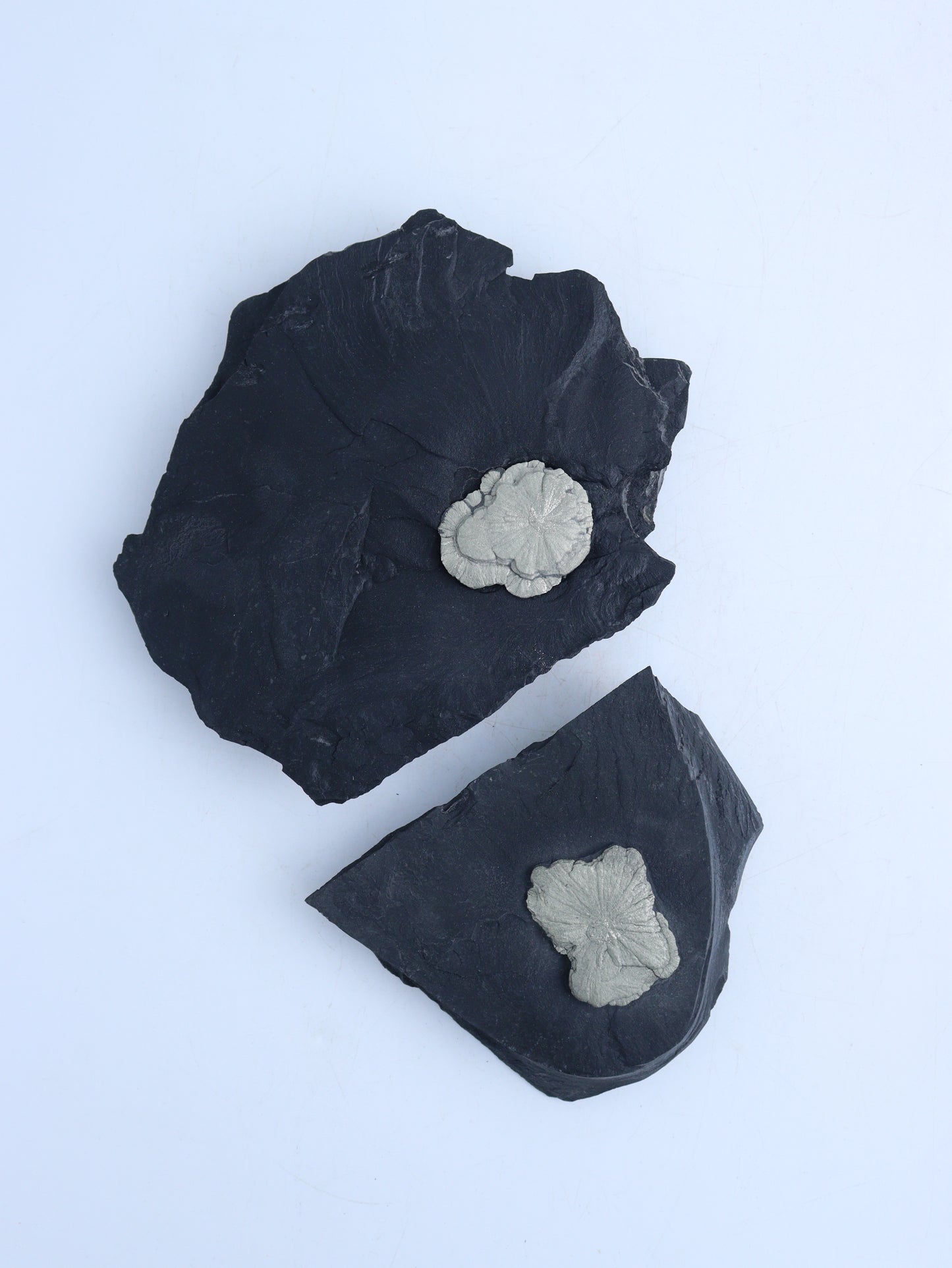 Pyrite Sun Slabs - Expert Wholesale and Supplier of Wholesale Crystals & Bulk Gemstones, ["Freeforms","Pyrite"]