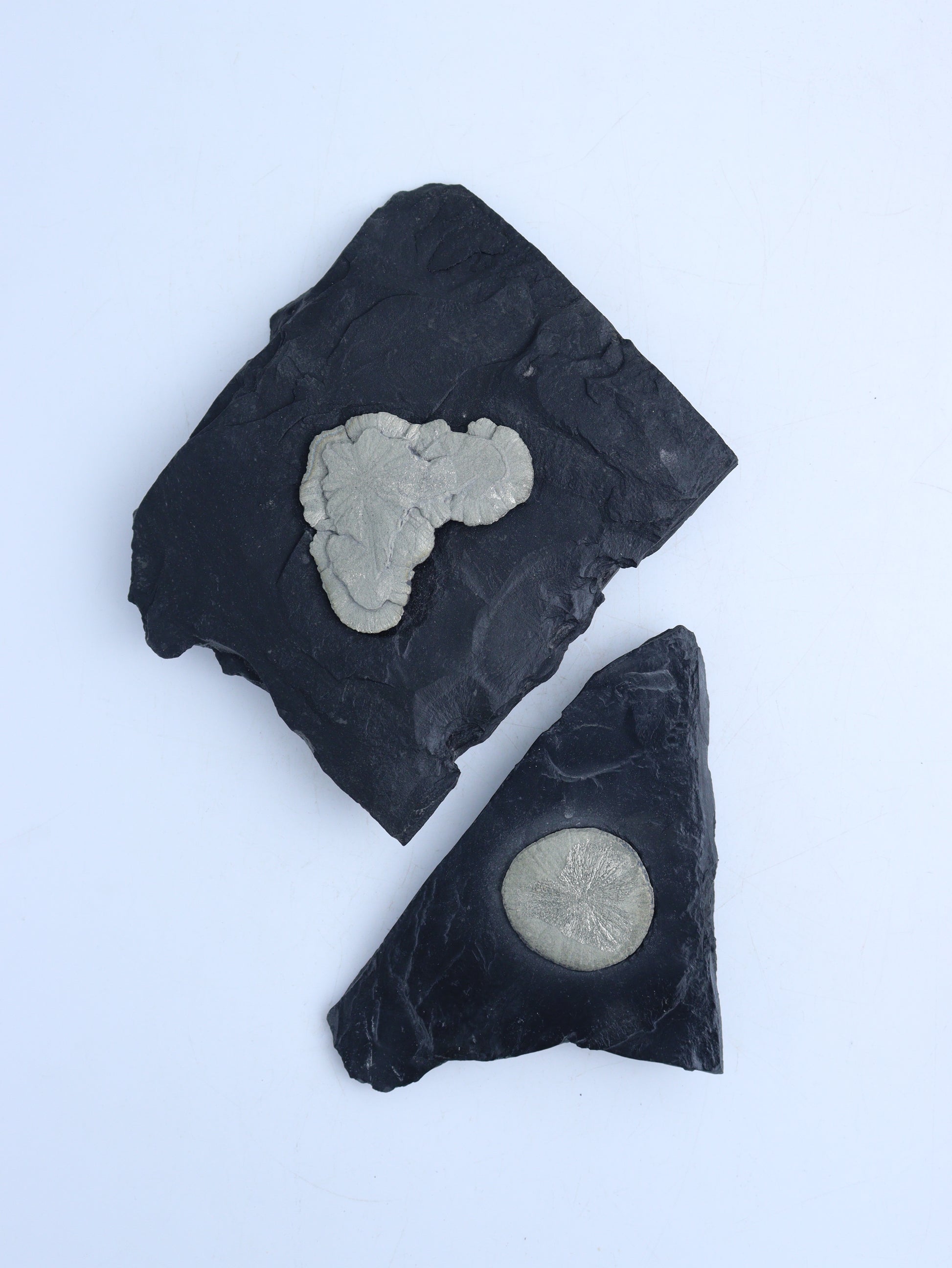 Pyrite Sun Slabs - Expert Wholesale and Supplier of Wholesale Crystals & Bulk Gemstones, ["Freeforms","Pyrite"]