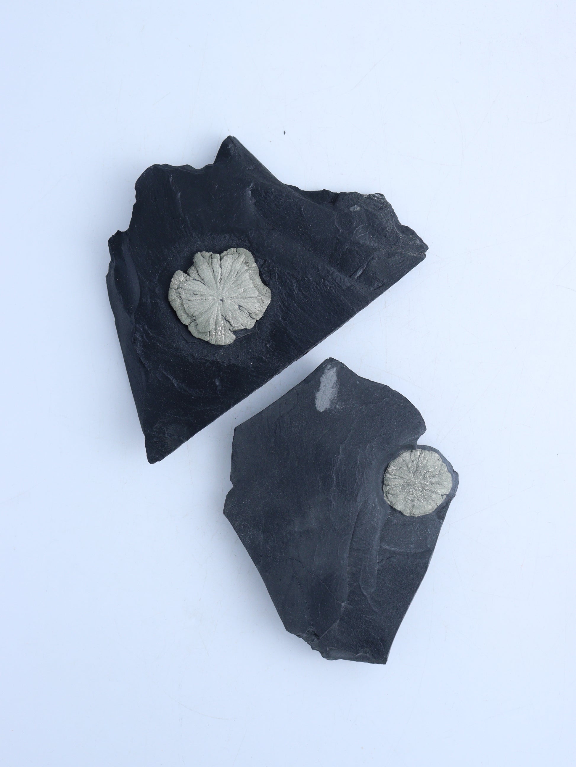 Pyrite Sun Slabs - Expert Wholesale and Supplier of Wholesale Crystals & Bulk Gemstones, ["Freeforms","Pyrite"]