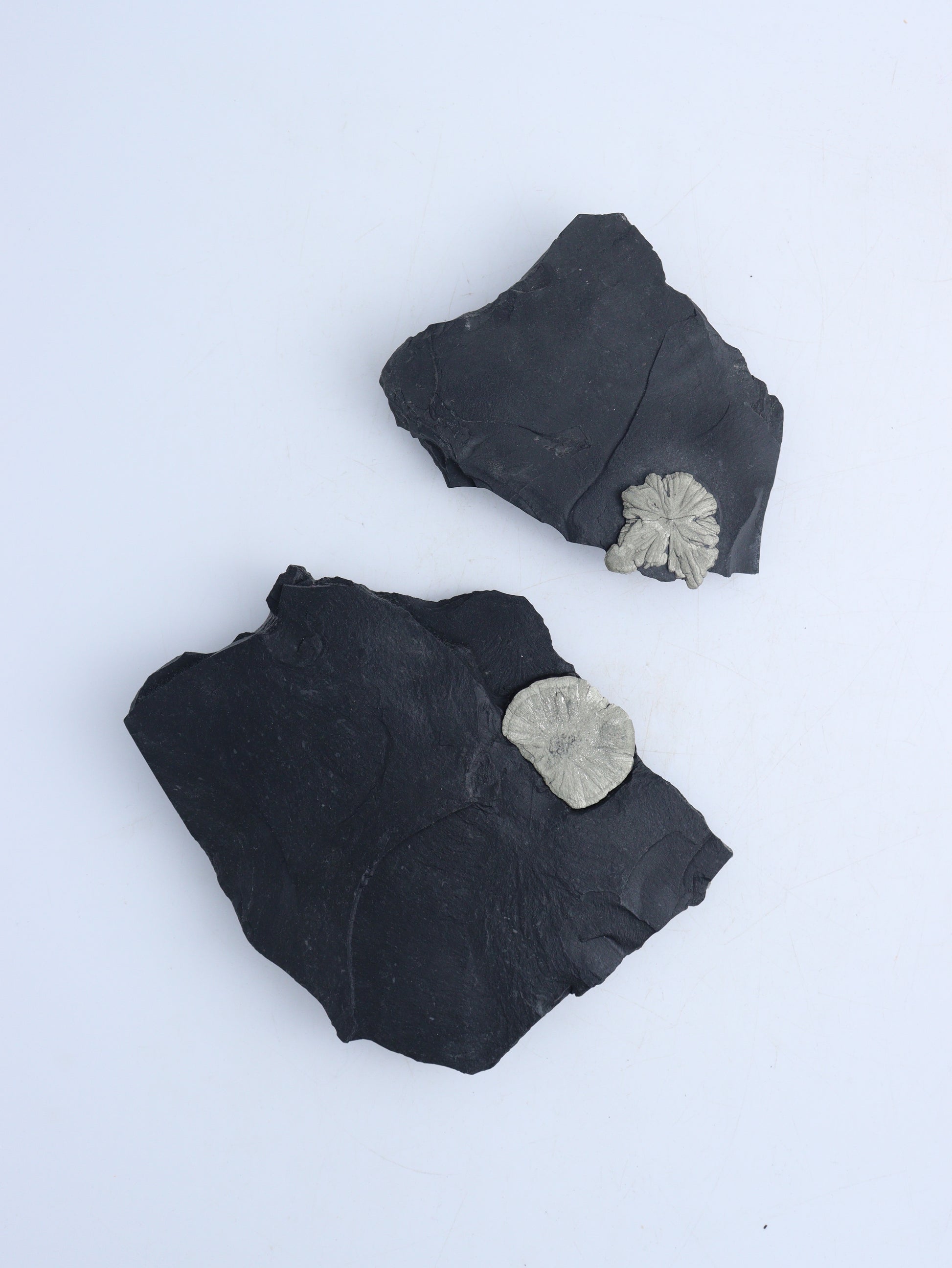 Pyrite Sun Slabs - Expert Wholesale and Supplier of Wholesale Crystals & Bulk Gemstones, ["Freeforms","Pyrite"]