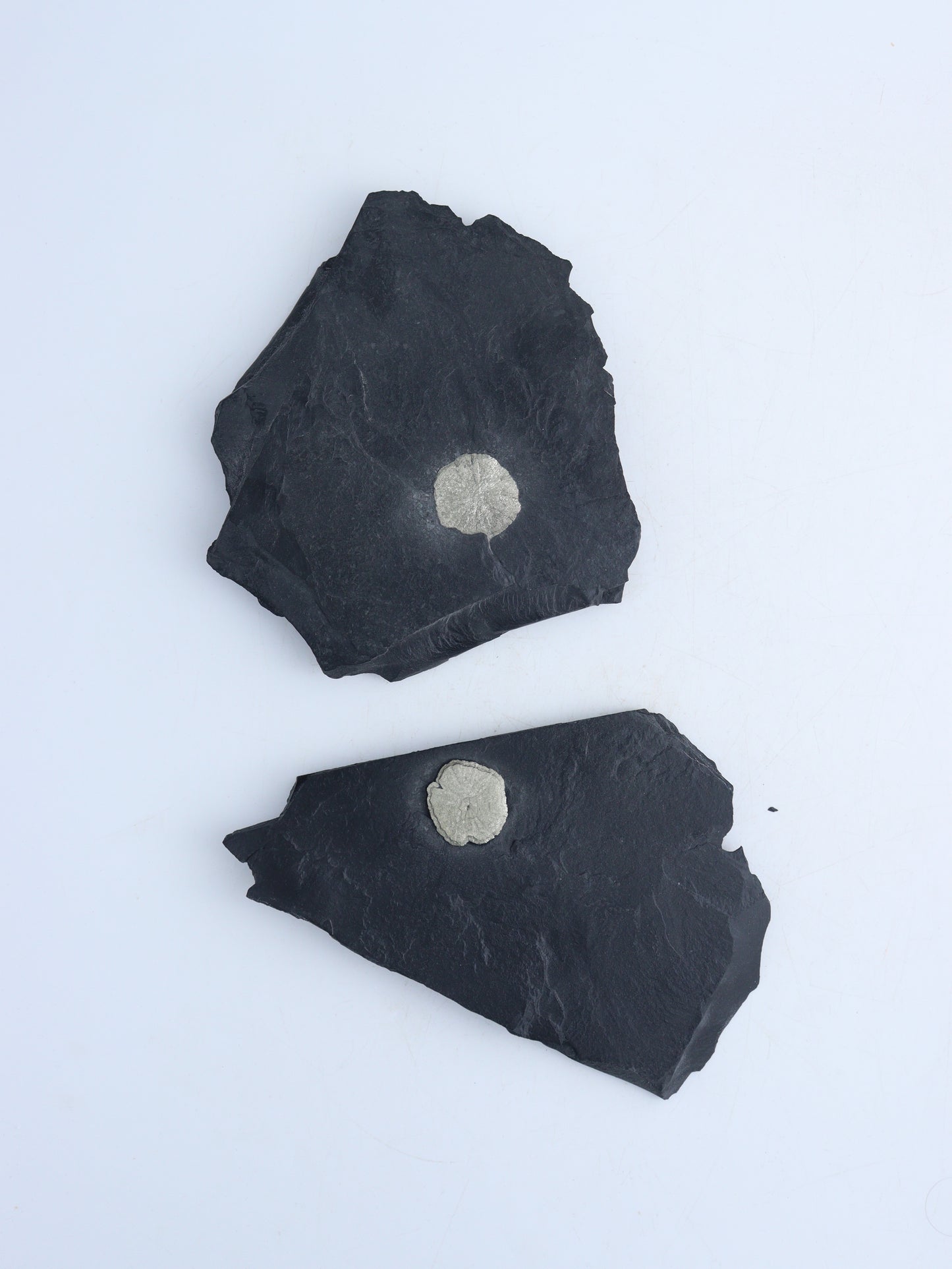 Pyrite Sun Slabs - Expert Wholesale and Supplier of Wholesale Crystals & Bulk Gemstones, ["Freeforms","Pyrite"]