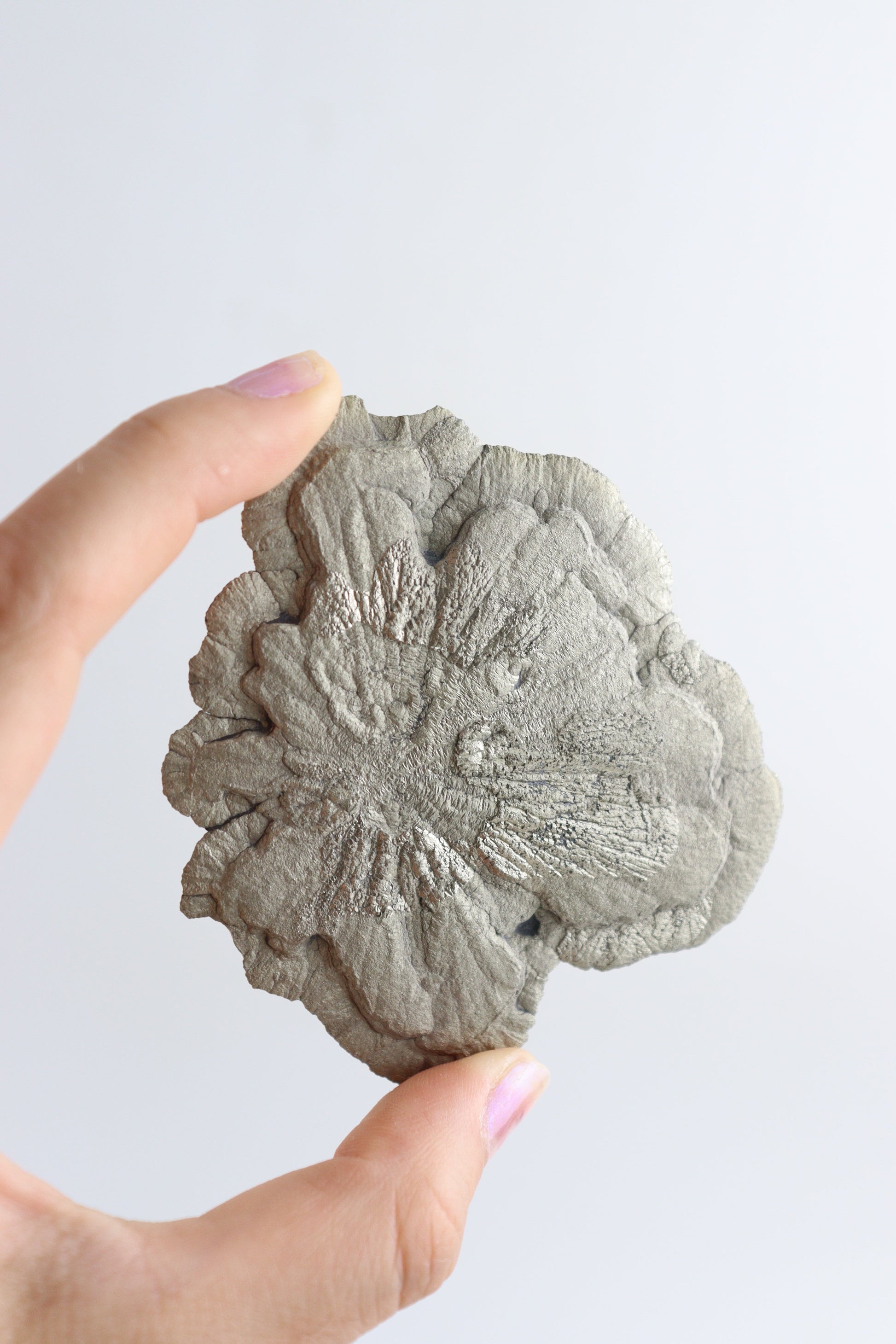 Pyrite Sun Slabs - Expert Supplier of Wholesale Crystals & Bulk Gemstones
