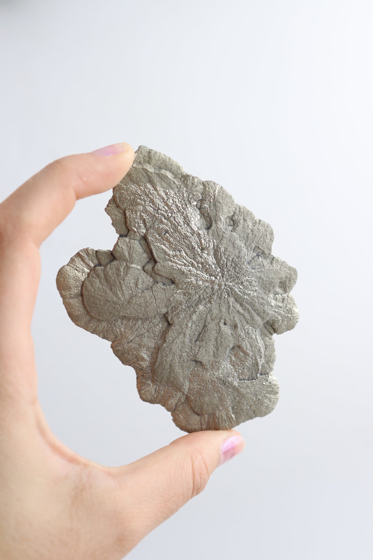 Pyrite Sun Slabs - Expert Supplier of Wholesale Crystals & Bulk Gemstones