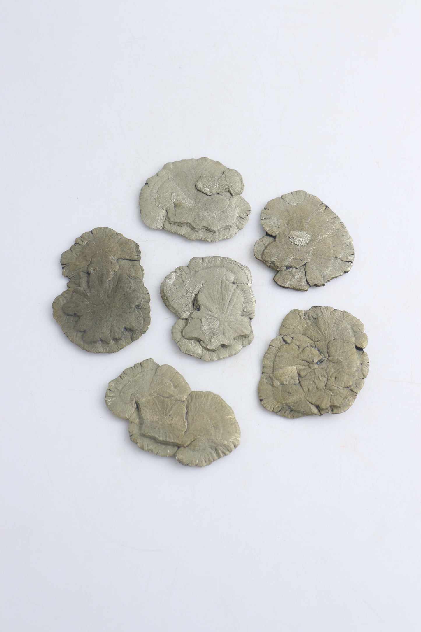 Pyrite Sun Slabs - Expert Wholesale and Supplier of Wholesale Crystals & Bulk Gemstones, ["Pyrite","Slices and Slabs"]