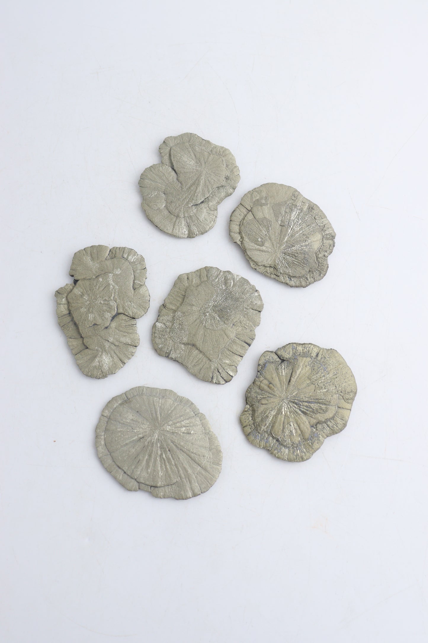 Pyrite Sun Slabs - Expert Wholesale and Supplier of Wholesale Crystals & Bulk Gemstones, ["Pyrite","Slices and Slabs"]